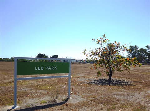 Lee-Park.jpg