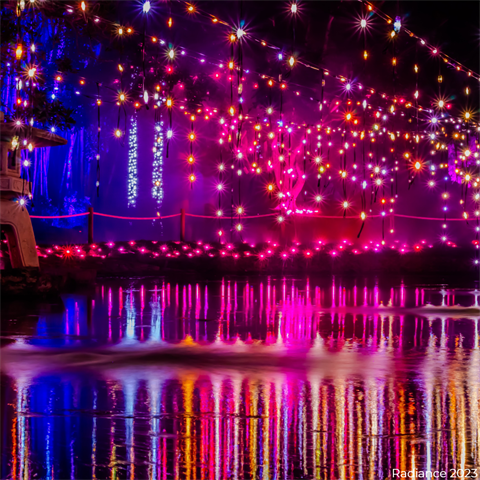 Radiance Rockhampton Light Installation at the Botanic Gardens in 2023