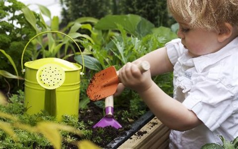 Schools-tree-day-2017.jpg