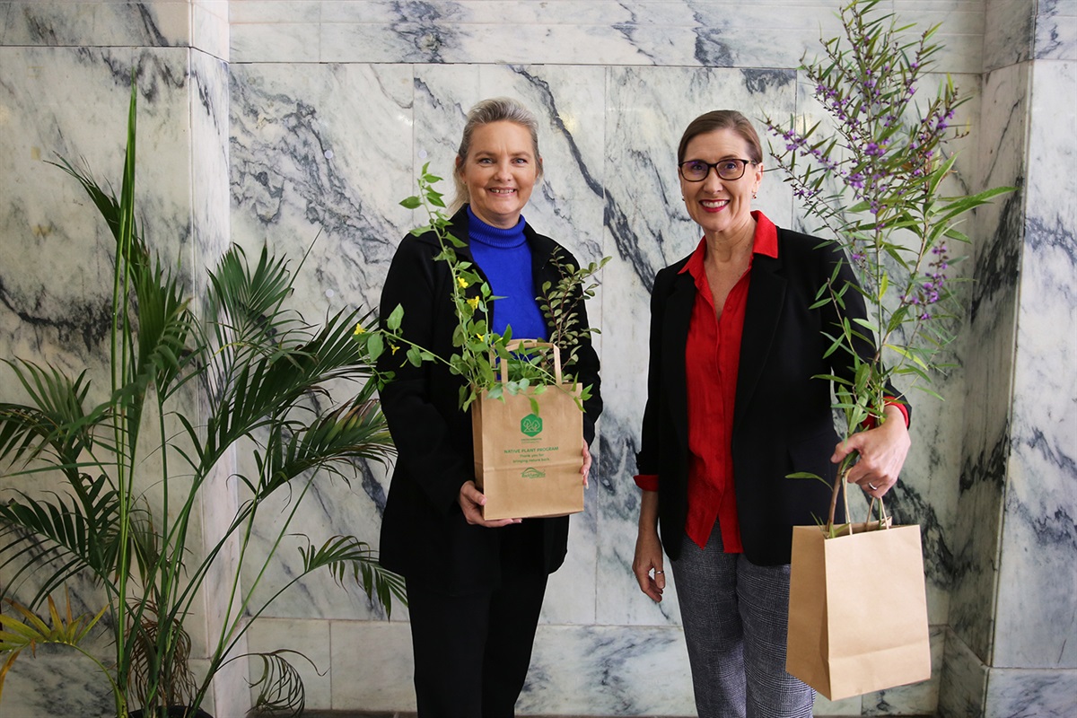 Celebrate National Tree Day by planting native plants! Rockhampton ...