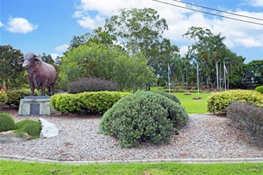 Frank Forde Park Bull