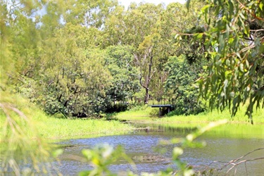 Springers  Lagoon