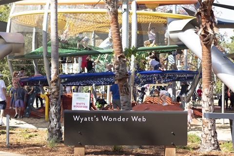 Wyatts Wonder Web.jpg