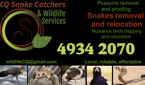 https://www.rockhamptonregion.qld.gov.au/files/content/mycity/v/1/business-directory/cq-snake-catchers-and-wildlife-services/cq-snake-catchers.png?dimension=pageimage&w=480